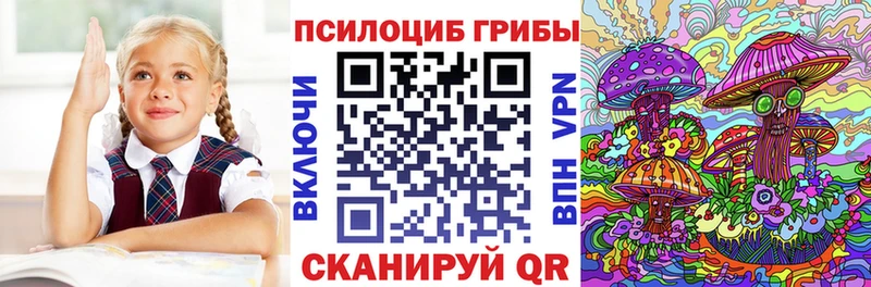 Псилоцибиновые грибы GOLDEN TEACHER кракен маркетплейс Никольск где продают наркотики